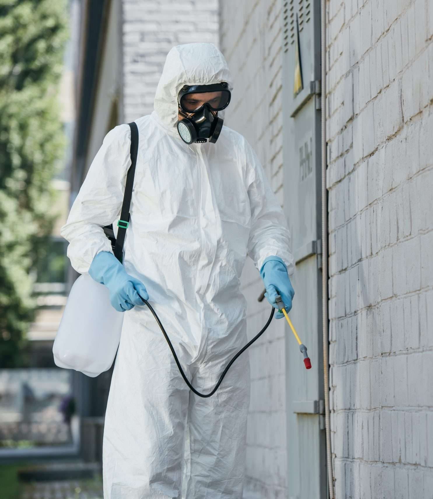 Asbestos Removal